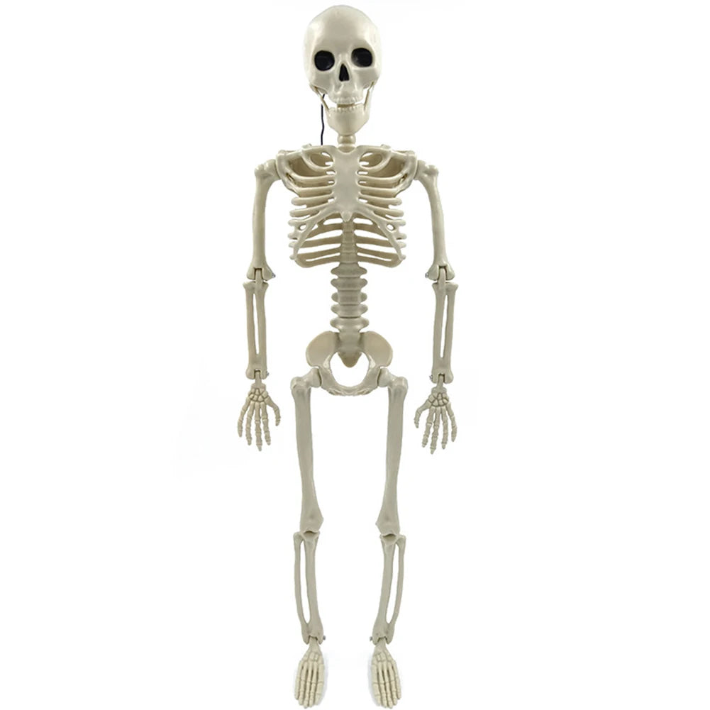 Halloween Decorative Skull Sculpture Movable/Posable Joints Human Skeleton Figure Full Size for Yard Garden Patio Haunted House