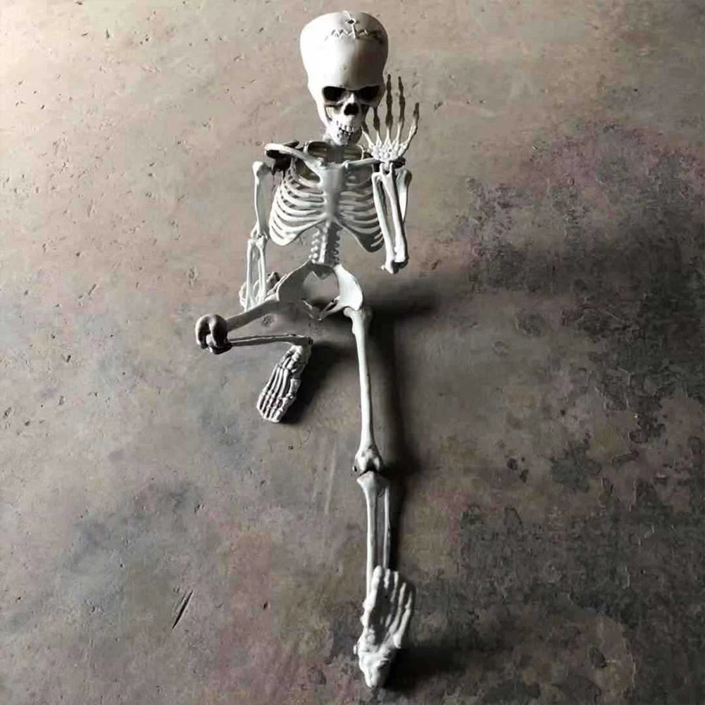 Halloween Decorative Skull Sculpture Movable/Posable Joints Human Skeleton Figure Full Size for Yard Garden Patio Haunted House