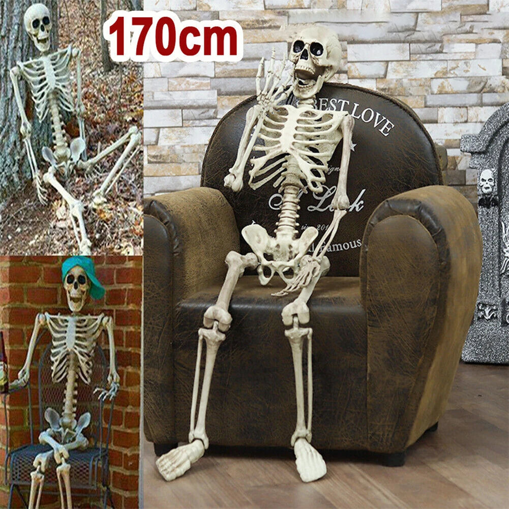 Halloween Decorative Skull Sculpture Movable/Posable Joints Human Skeleton Figure Full Size for Yard Garden Patio Haunted House