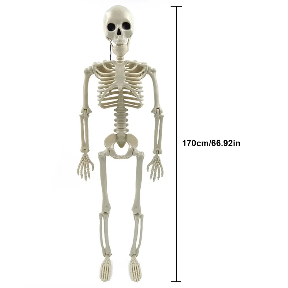 Halloween Decorative Skull Sculpture Movable/Posable Joints Human Skeleton Figure Full Size for Yard Garden Patio Haunted House