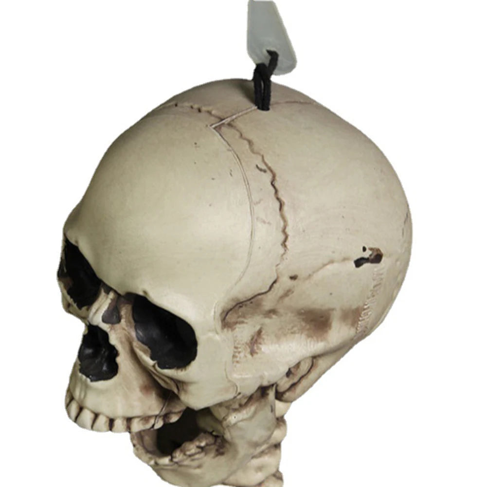 Halloween Decorative Skull Sculpture Movable/Posable Joints Human Skeleton Figure Full Size for Yard Garden Patio Haunted House